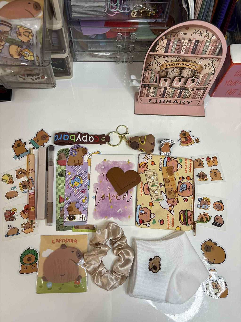 Capybara Stationery Bundle - Capybara Enamel Pin, Keyring, Bookmarks, 10 stickers, stick notes and socks - Valentine's day gift - Books and Brew Canada
