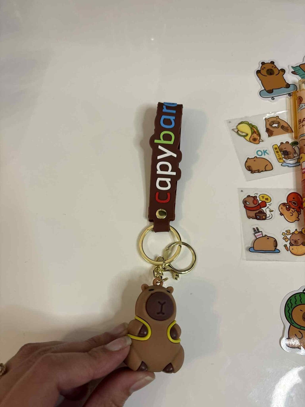 Capybara Stationery Bundle - Capybara Enamel Pin, Keyring, Bookmarks, 10 stickers, stick notes and socks - Valentine's day gift - Books and Brew Canada