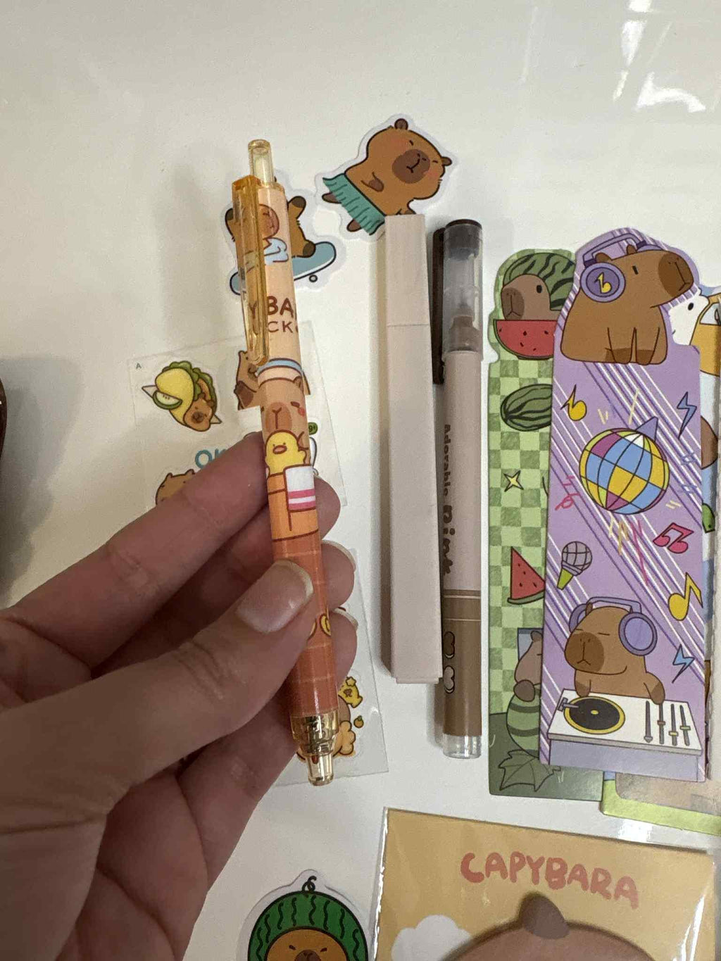 Capybara Stationery Bundle - Capybara Enamel Pin, Keyring, Bookmarks, 10 stickers, stick notes and socks - Valentine's day gift - Books and Brew Canada