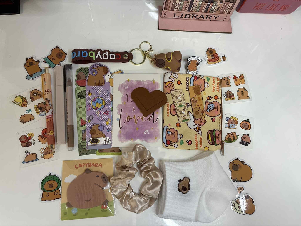 Capybara Stationery Bundle - Capybara Enamel Pin, Keyring, Bookmarks, 10 stickers, stick notes and socks - Valentine's day gift - Books and Brew Canada